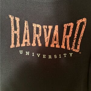 H&M Harvard University Navy Sweater